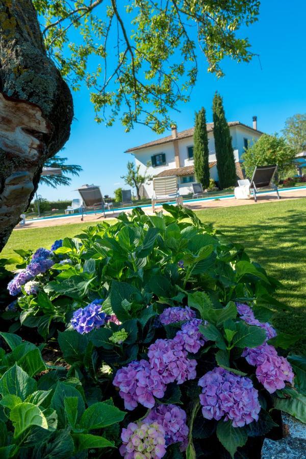 Вилла Il Raggio Di Sole Баньореджо Экстерьер фото
