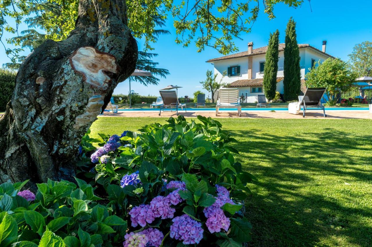 Вилла Il Raggio Di Sole Баньореджо Экстерьер фото